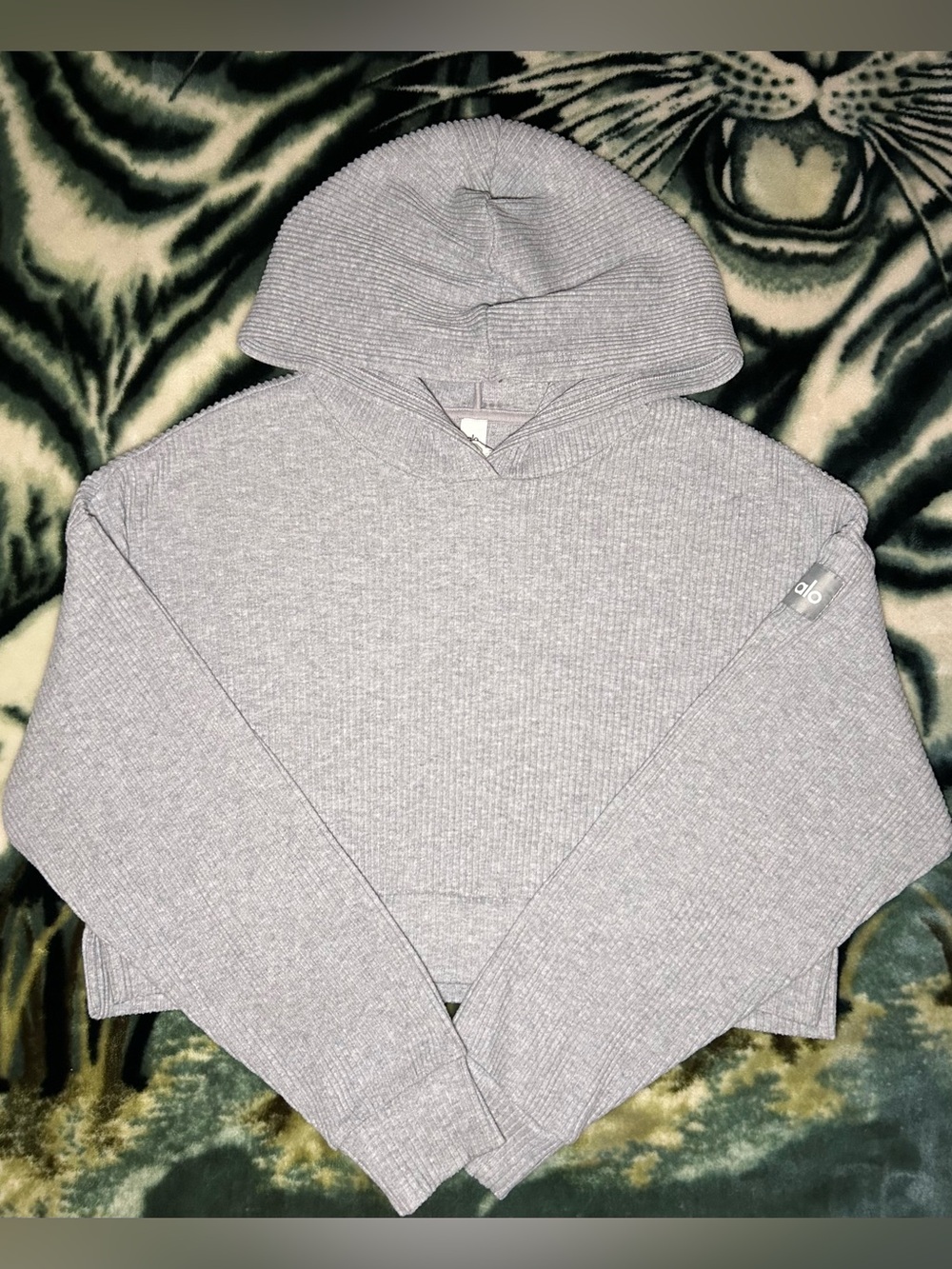 Alo Yoga Ribbed Hoodie